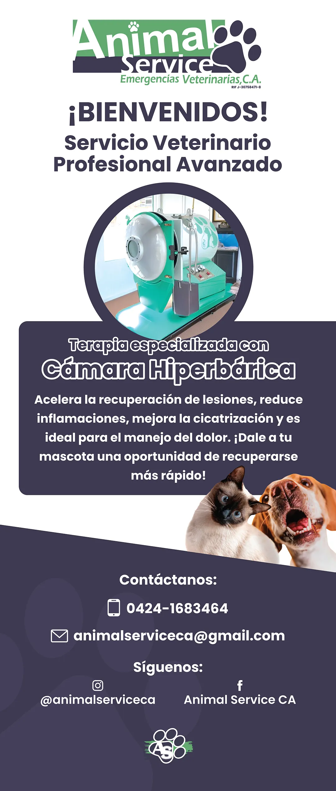 oxigenoterapia servicio veterinario